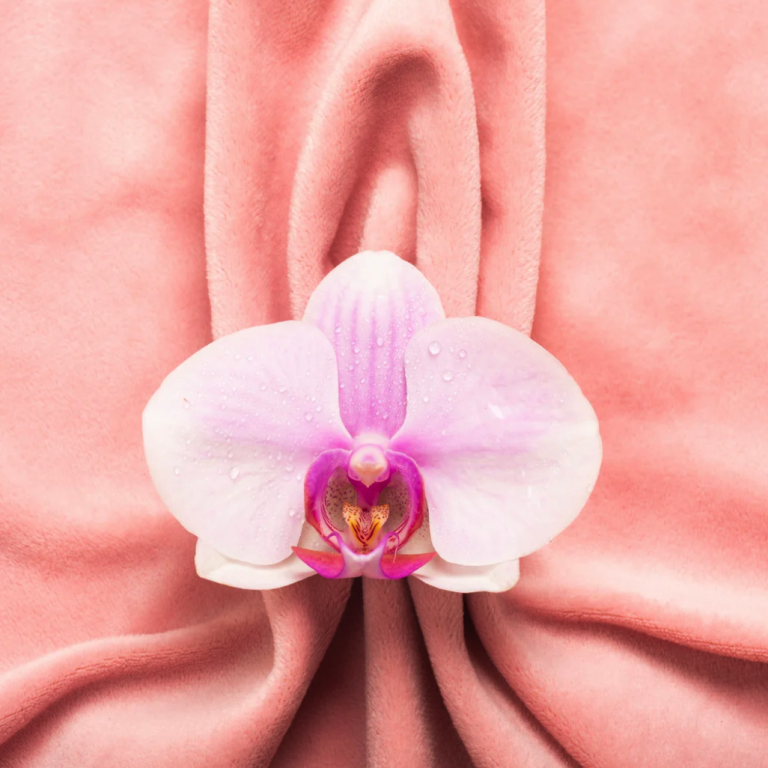 labiaplasty3